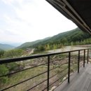 대나무랜드 이미지