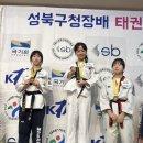 성신 태권도장 이미지