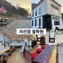 트라이죽도점 | 지산겸 철학원에서 사주보고 탕탕평평에서 한의사가 만들어주시는 건강음료까지!