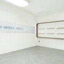 하이덴탈 이미지