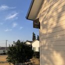 오르비에터 이미지