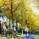 은행공원 내 이미지