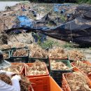 금산수자원공사 이미지