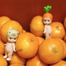 웰빙한의원 네이버블로그