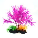 아쿠아테라 수족관 이미지