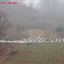 옥천군안남면지수보건진료소 | 충북 옥천군 안남면 토지(임야)경매 물건, 경매낙찰가 상담 == 사건번호 [2015타경641], 경락자금