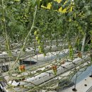 상생농장 이미지