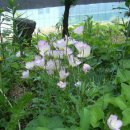 달맞이농장 이미지