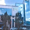 당쟁이로 이미지