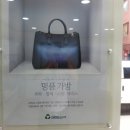 크린토피아코인워시백석1동점