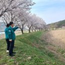 거창-주상-4 이미지