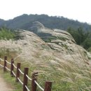 트레킹군산