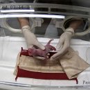 판다(PANDA)통신 이미지