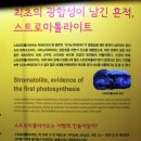 하식도 Daum카페