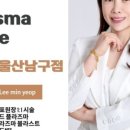 플라즈마헤베울산
