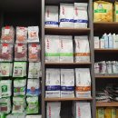 24시 나음동물 의료센터 이미지