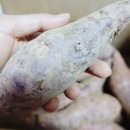 신해남농장 이미지