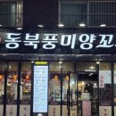 더미양