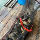 하늘낚시공원낚시터 이미지