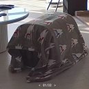 하군이네 동물병원 | [오산 동물병원, 오산 고양이병원] 하군이네 동물병원 고양이 중성화 수술 후기