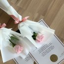 나비요가번지&플라잉