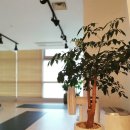 요가스튜디오숨 이미지