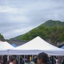 플라워사랑 이미지