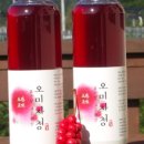 규린도 농원 네이버블로그