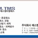 에스엠티엠에스
