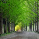 홍정목장 이미지