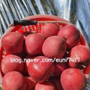 이현농장 이미지