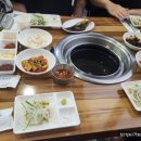 고밤도니 이미지
