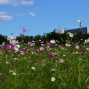 (주)정도 이미지