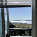 터 펜션 | [채의 여행] 서울 근교 강화도 애견펜션 ‘터펜션’ 내돈내산 후기 및 숙소예약 꿀팁