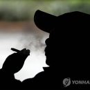 김정남초밥