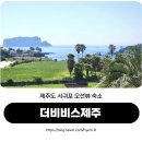 가성비 좋은 제주 서귀포 오션뷰 숙소 더비비스제주 찐 후기