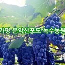 녹수농장 이미지