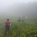 태종목장 이미지