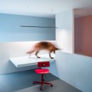 Dog House 이미지