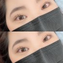 테오트리안양