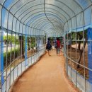 봉오대로 이미지