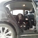 만수동물병원 이미지