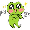 소나무세차장 이미지