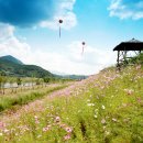 대황강자연휴식공원 이미지