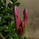 자연농원 이미지