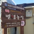 벧엘농장 이미지