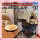 2호선 장산역 5,7번 출구 사이 | 스타벅스 구의역 이스트폴점 모닝세트 더블치킨 브레스트 샌드위치 후기 주차정보