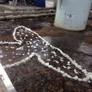 욜로오이소 이미지