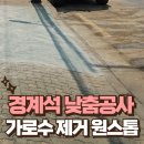 청담행정사사무소 | 가로수 벌목 및 보차도 경계석 낮춤 공사 허가 대행 원스톱서비스