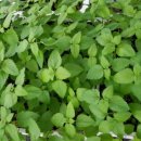 한울타리농장 이미지